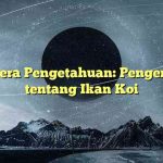 Lentera Pengetahuan: Pengertian tentang Ikan Koi