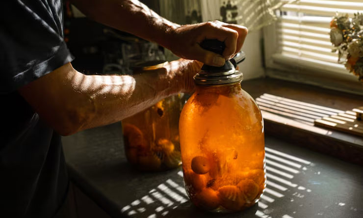 Proses Fermentasi